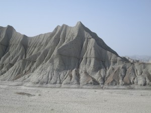 IMG_0452