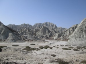 IMG_0462