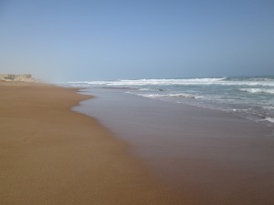 IMG_0463