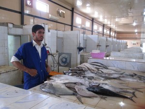 IMG_0500