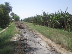 IMG_0558