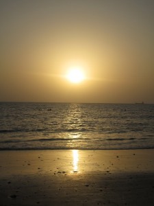 IMG_0583