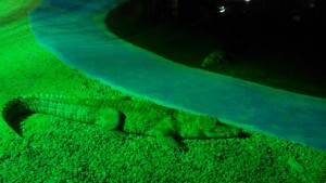 IMG_۲۰۱۵۰۸۰۲_۲۱۰۹۴۰