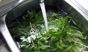 سبزی