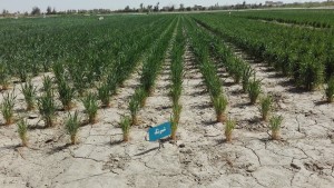 IMG_20160318_100025
