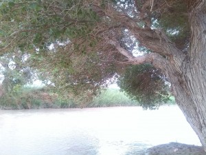 IMG-20160402-WA0015