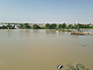 IMG-20160411-WA0023