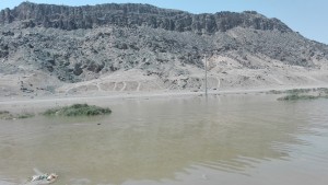 IMG_20160412_131806