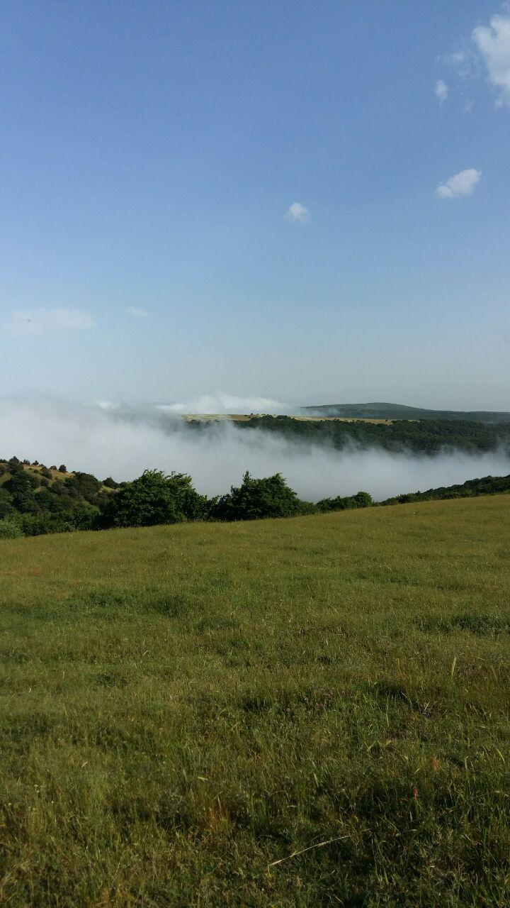 سولماز مهاجری