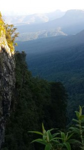 IMG-20150325-WA0035
