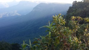 IMG-20150325-WA0041