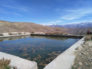 IMG_20150329_104555