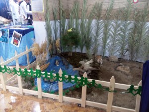 IMG_20150509_173630