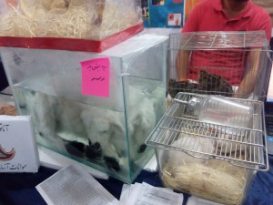 IMG_20150509_173745
