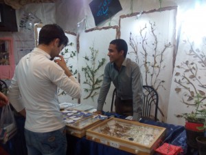 IMG_20150509_174227