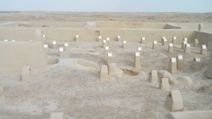 IMG_۲۰۱۴۱۱۲۶_۰۹۰۸۱۸